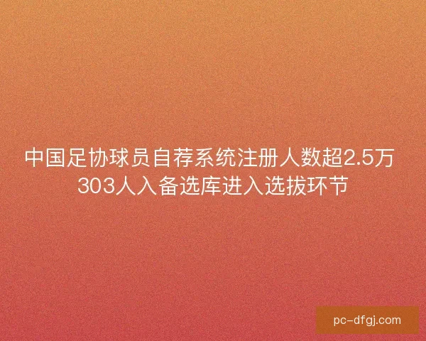 中国足协球员自荐系统注册人数超2.5万 303人入备选库进入选拔环节